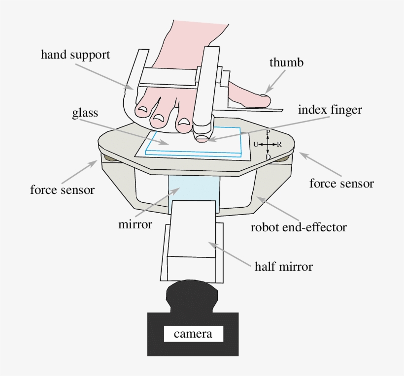 Subject's Hand Is Resting In The Hand Support, With - Hand, transparent png