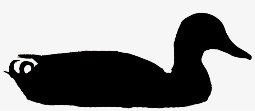 Mallard Male Clo, Tompkins Co, Ny 21jan10 Kjm8814-2 - Tompkins Trust Co, transparent png