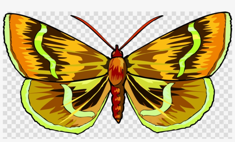 Colorful Butterfly Clipart Monarch Butterfly Brush-footed - Clip Art, transparent png