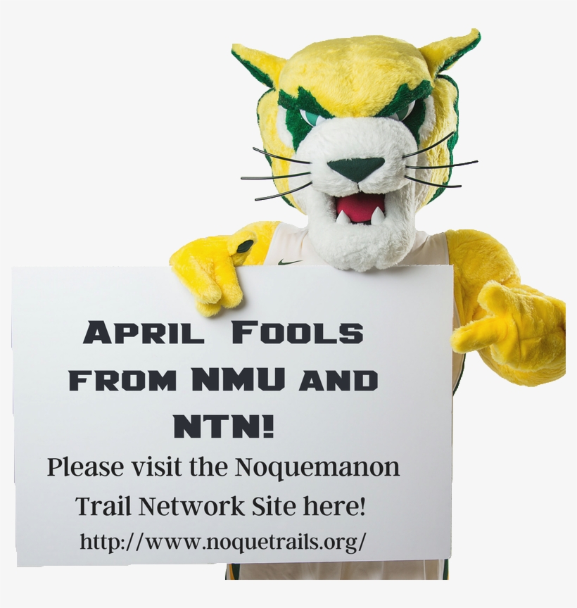 Cancel Image Of Wildcat Willy - Poster, transparent png