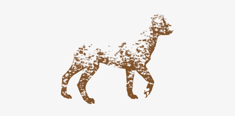 Mud Splatter Png - Dalmatian, transparent png