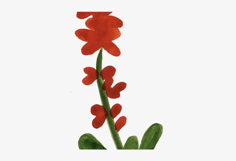 Red Flower, transparent png