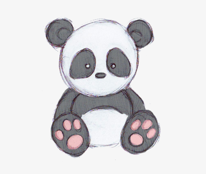 Cute Panda Drawing Tumblr Why Are You Reporting This - Drawings Of Cute Cartoons, transparent png