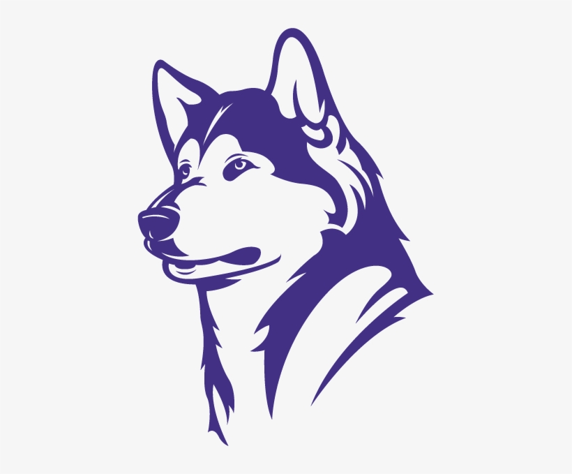 Alexander Neale - Uw Husky Logo Png, transparent png