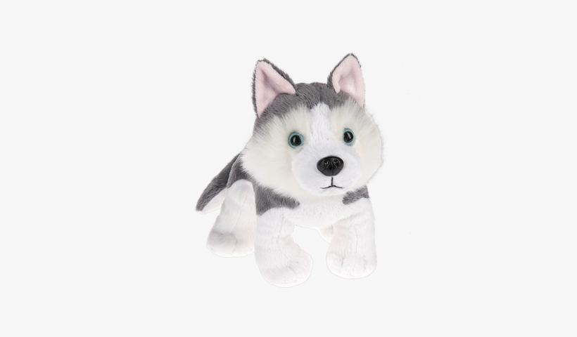 Winners Announced Siberian Husky Name Me Contest - Webkinz Starter Kit, transparent png