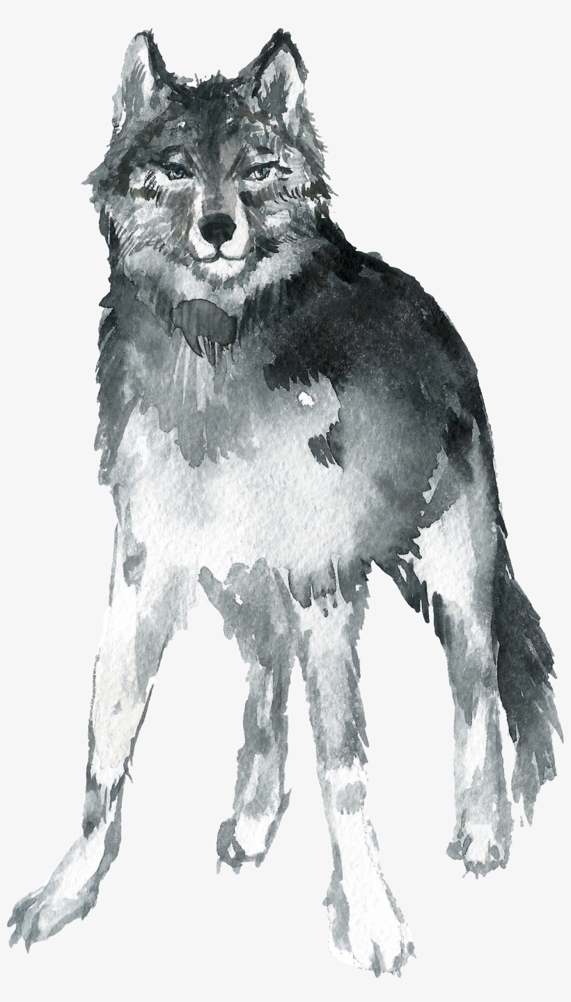 Mackenzie River Husky, transparent png