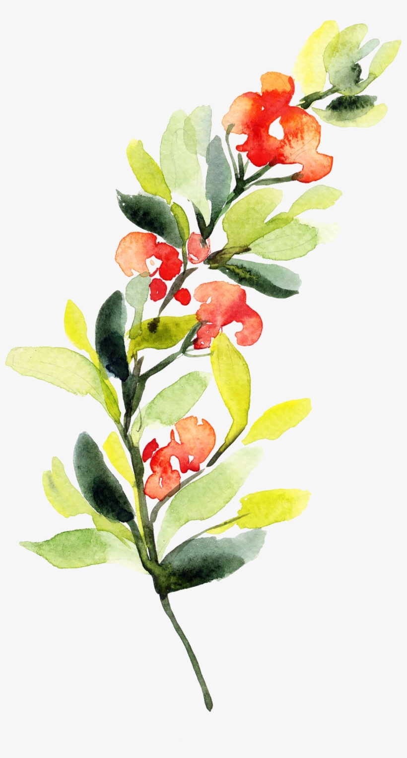 0℃素材74 - Zazzle Aquarell-bunter Blumenstrauß Gr1 Hülle Fürs, transparent png