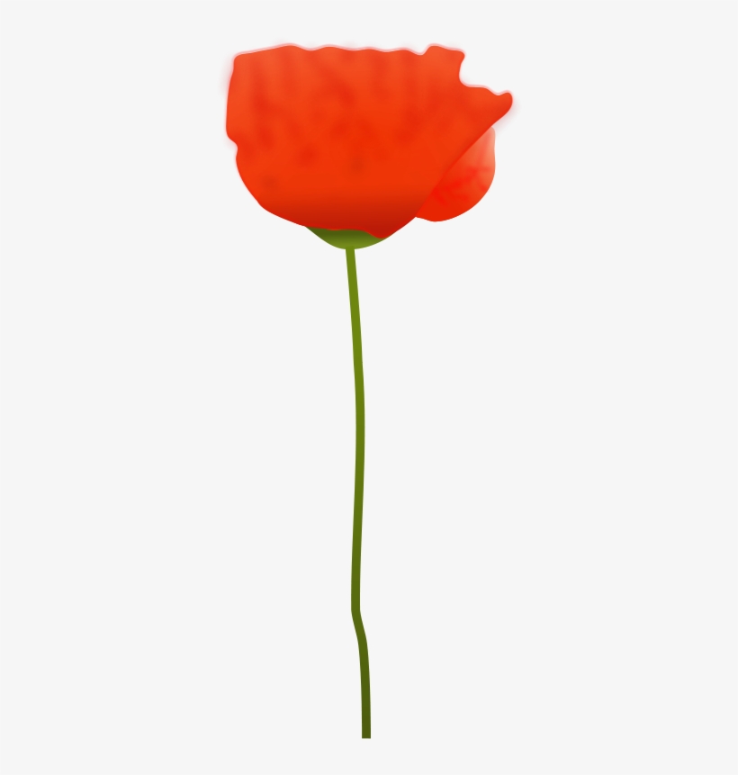 How To Set Use Poppy Flower Clipart, transparent png