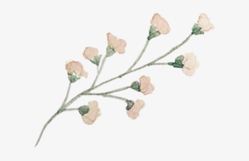 Single Floral 2 - Portable Network Graphics, transparent png