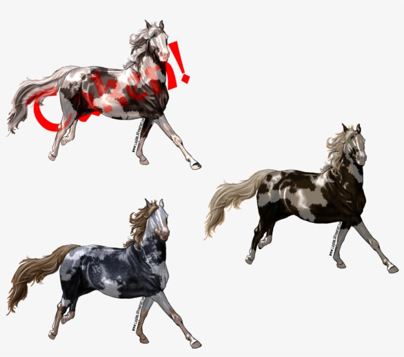 Cheap Paint Horse Adoptables By Renegade On - Horse, transparent png