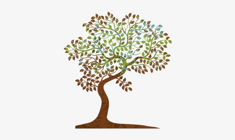 Join Us And See Your Family Tree Grow - Care Ministry, transparent png