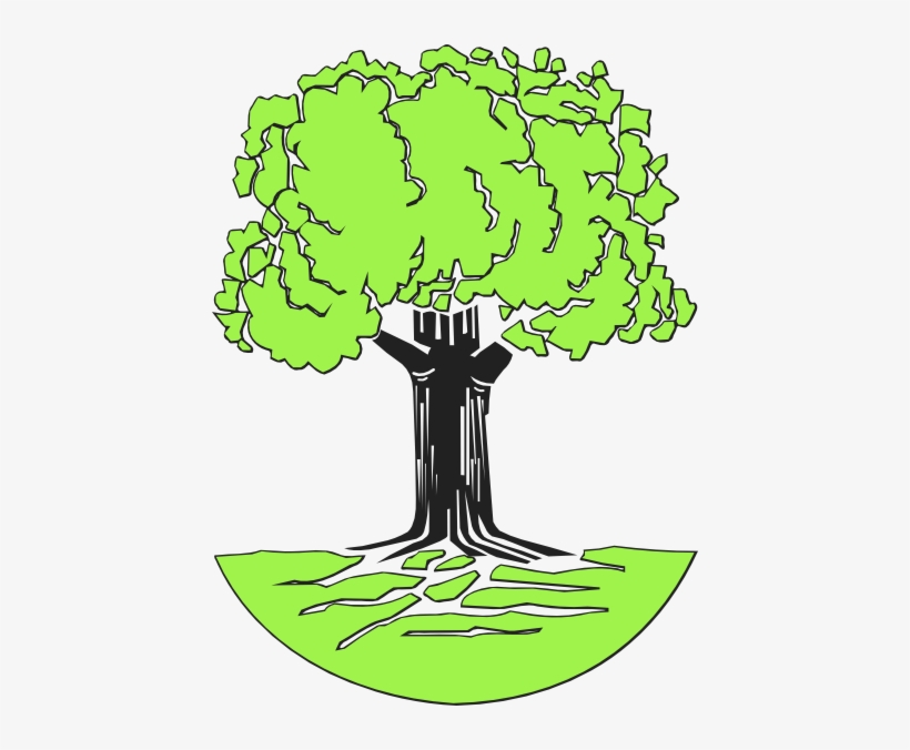 How To Set Use Family Tree Light Green Clipart, transparent png