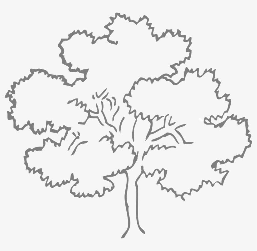 Example 1 In Black/white - Clip Art Trees Black And White, transparent png