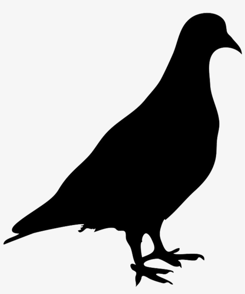 Pigeon Clipart Pegon Source - Silhouette Of Pigeon, transparent png