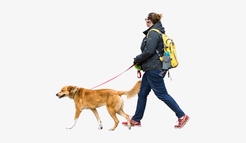 Woman Walking Dog Windy Day People Png, Cut Out People, - People Walking Dog Png, transparent png