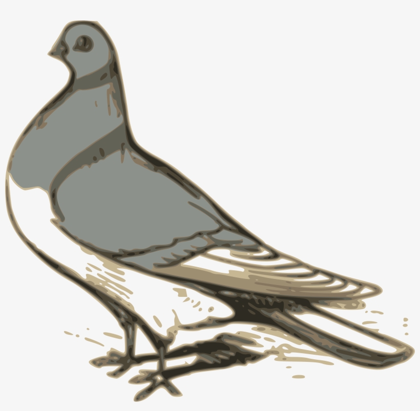 This Free Icons Png Design Of Pigeon Illustration, transparent png