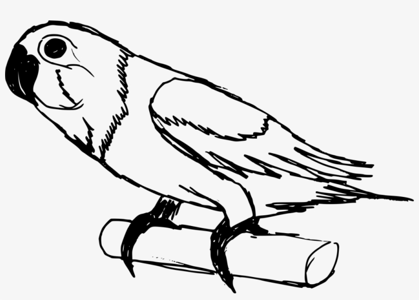 Png File Size - Drawing, transparent png