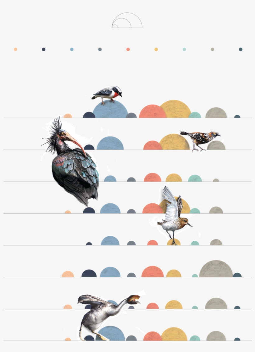 Earth Overshoot Day, transparent png