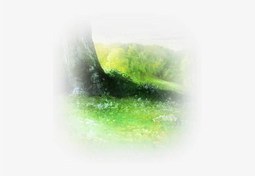 Sea Lettuce, transparent png
