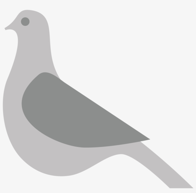 The Mooch Pigeon - Portable Network Graphics, transparent png