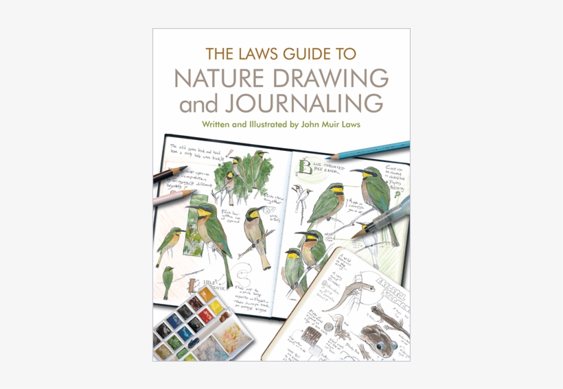 Nature Drawing And Journaling - Laws Guide To Nature Drawing And Journaling (paperback), transparent png
