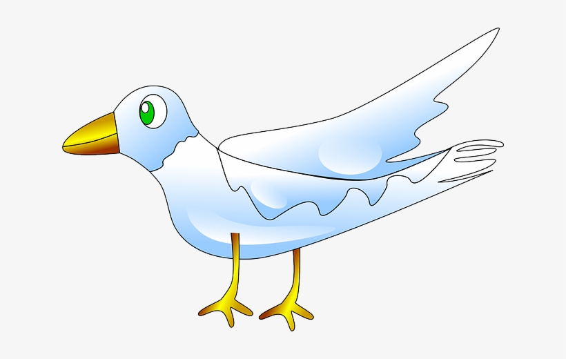 Bird, Animal, Fly, Nature, Dove, White, Pigeon - White Pigeons In Nature, transparent png
