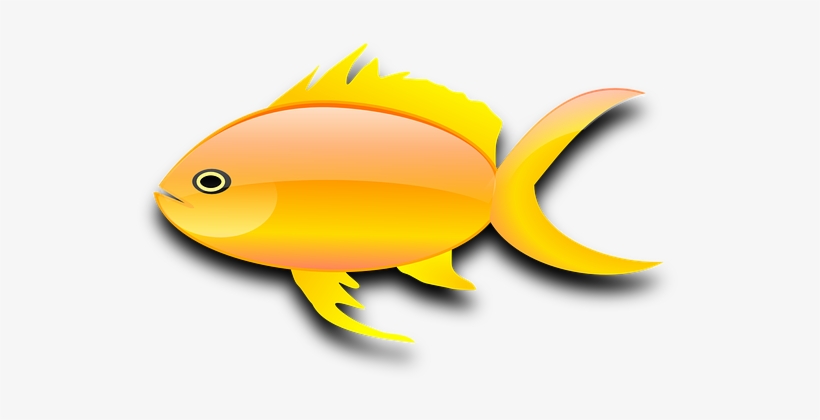 Fish, Goldfish, Digital, Isolated - Gold Fish Clip Art, transparent png
