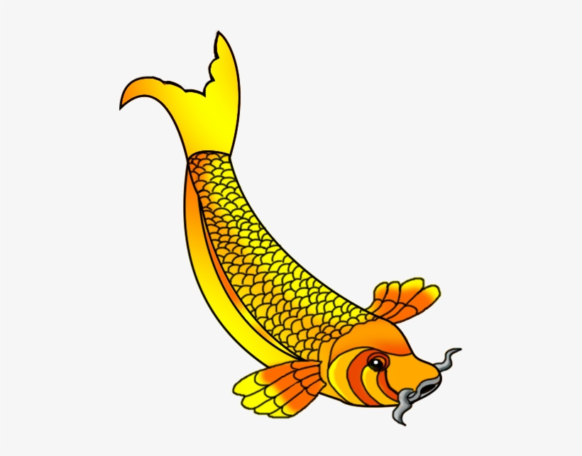 Drawn Gold Fish Koi Fish - Koi, transparent png