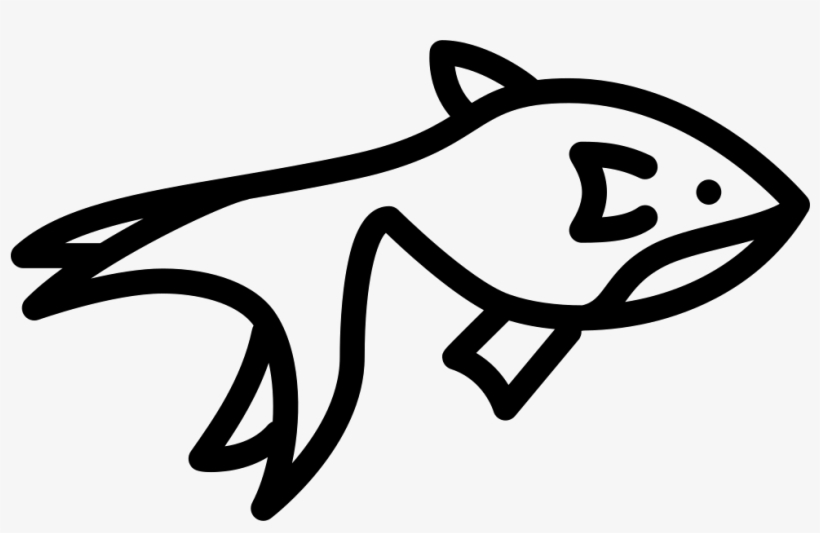 Gold Fish - - Scalable Vector Graphics, transparent png