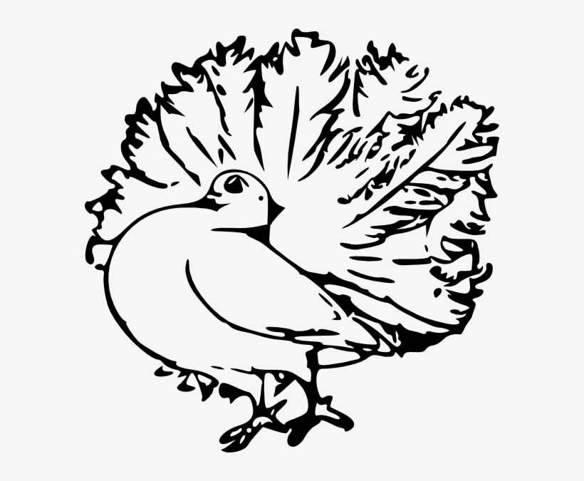 Pigeon Svg Clip Arts 582 X 595 Px, transparent png