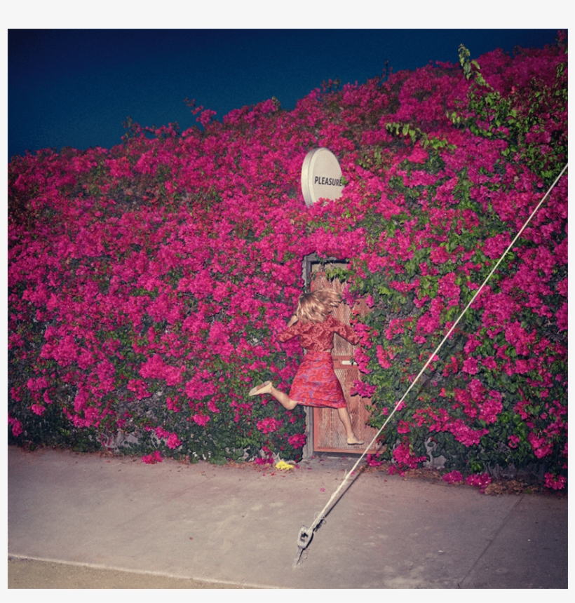 Feist I Wish I Didn T Miss You, transparent png