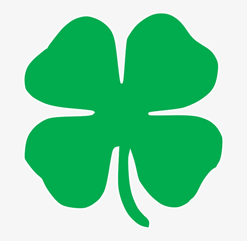 Shamrock, transparent png