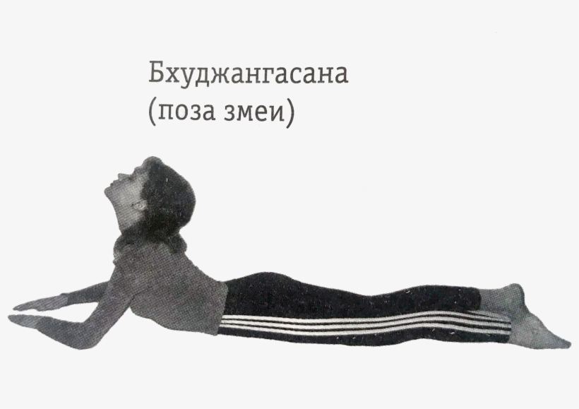 Бхуджангасана - Bhujangasana, transparent png