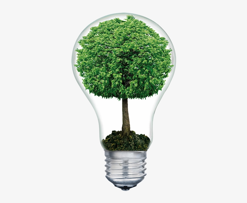 Do You Have Old Computer Technology - Light Bulb With Tree Inside Transparent, transparent png