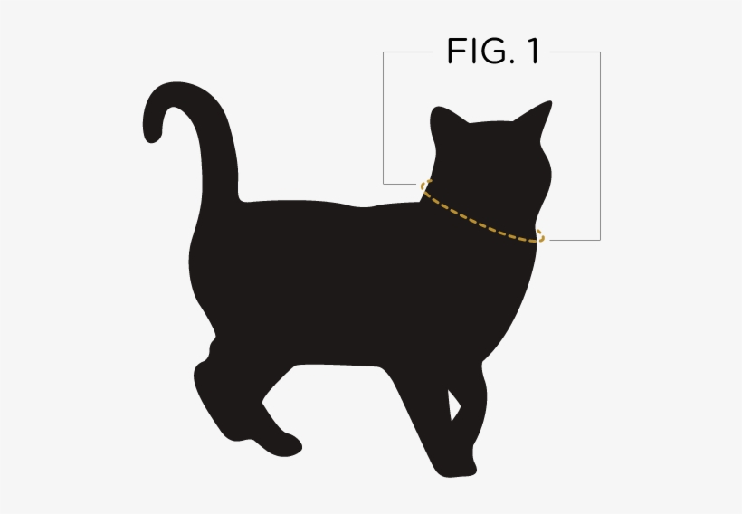 Take The Tape Measure And Wrap It Around Your Cats - Christmas Poisons For Pets, transparent png