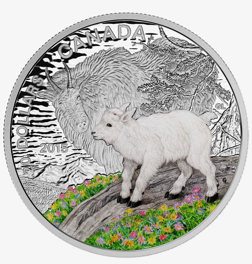 Canada 2015 Baby Animals - 2015 Fine Silver 20 Dollar Coin - Baby Animals: Mountain, transparent png