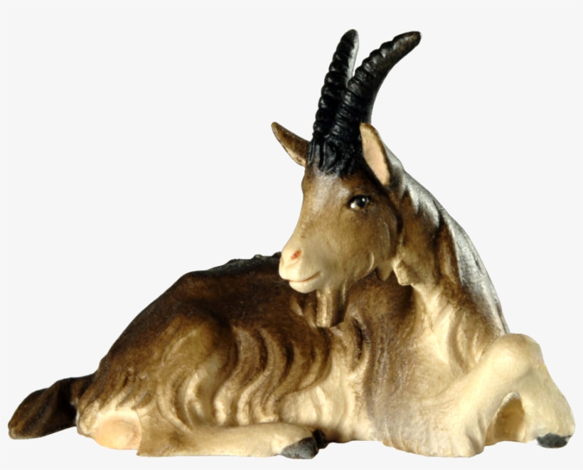 Goat, transparent png
