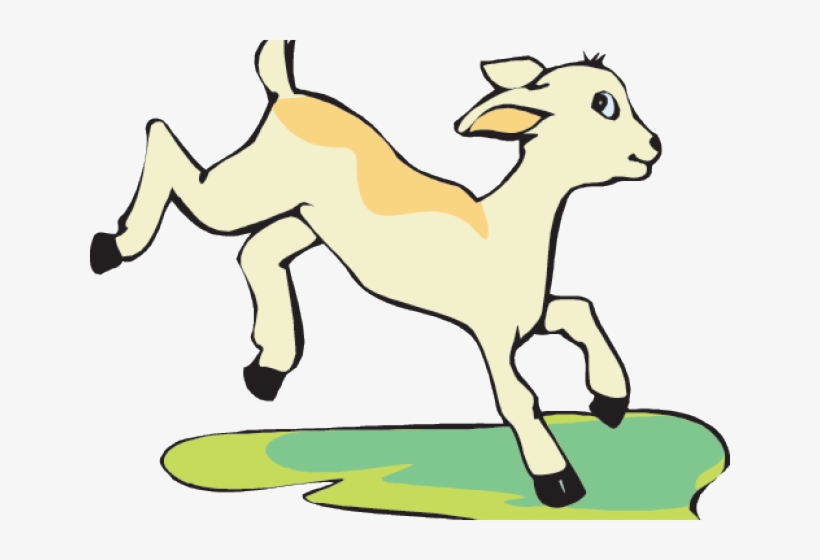 Cartoon Baby Goat, transparent png
