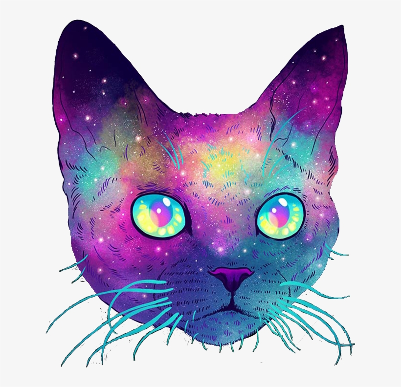 Cat Galaxy, transparent png
