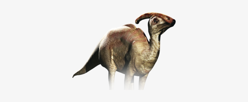 Dinosaur, transparent png
