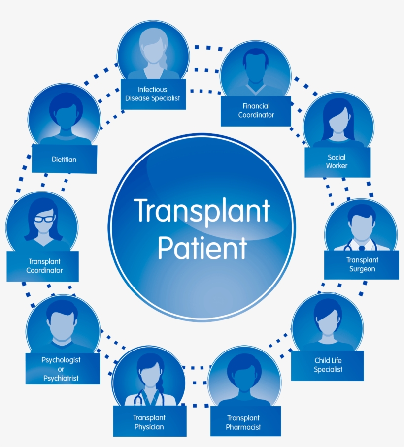 Children's Mercy Transplant Team - Diagram, transparent png