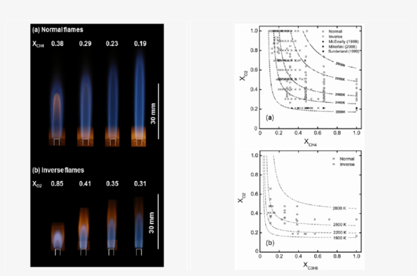 Color Images Of Representative Normal And (b) Inverse - Diagram, transparent png