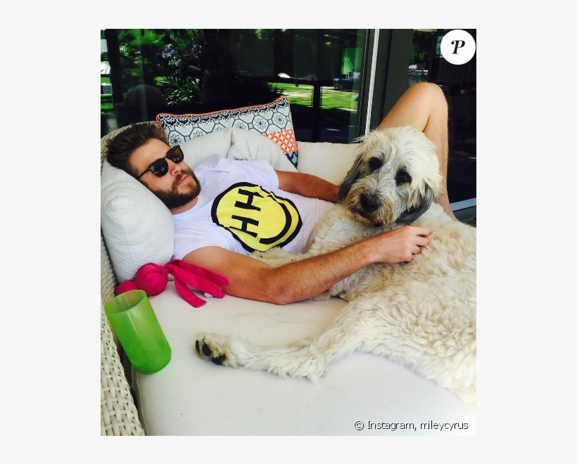 Miley Cyrus A Publié Une Photo De Son Chéri Liam Hemsworth - Liam Hemsworth And Dogs, transparent png