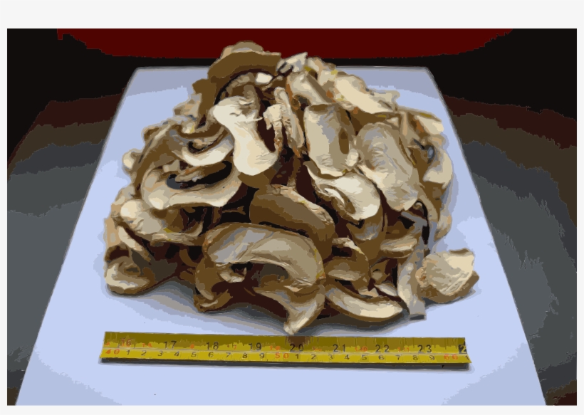 This Free Icons Png Design Of Chinese Factory Directly, transparent png