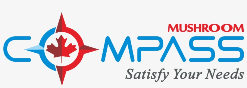 Shiitake Mushroom And Smoked Tofu Stir Fry - Antioxidant, transparent png