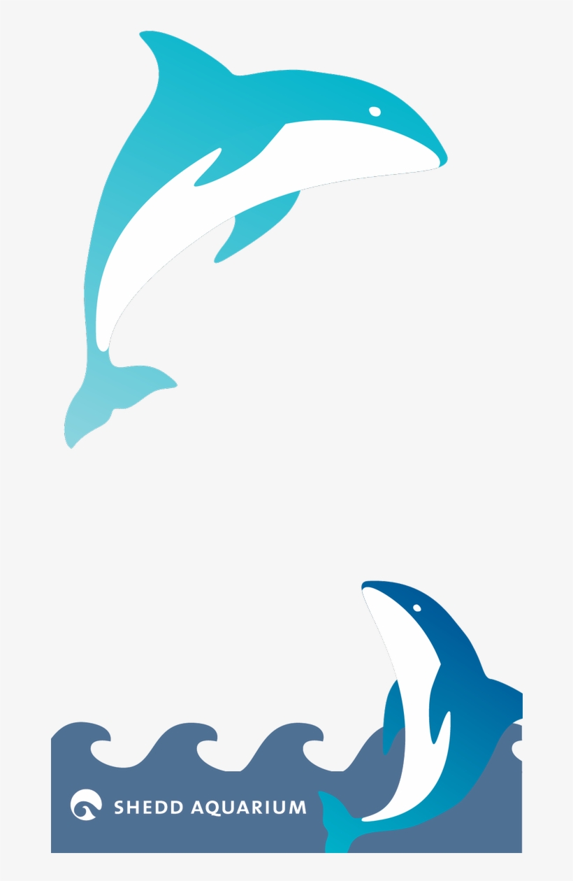 Clipart Rainbow Dolphin - Shedd Aquarium, transparent png