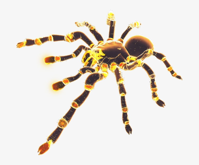 Neon Glowing Fire Spider, transparent png