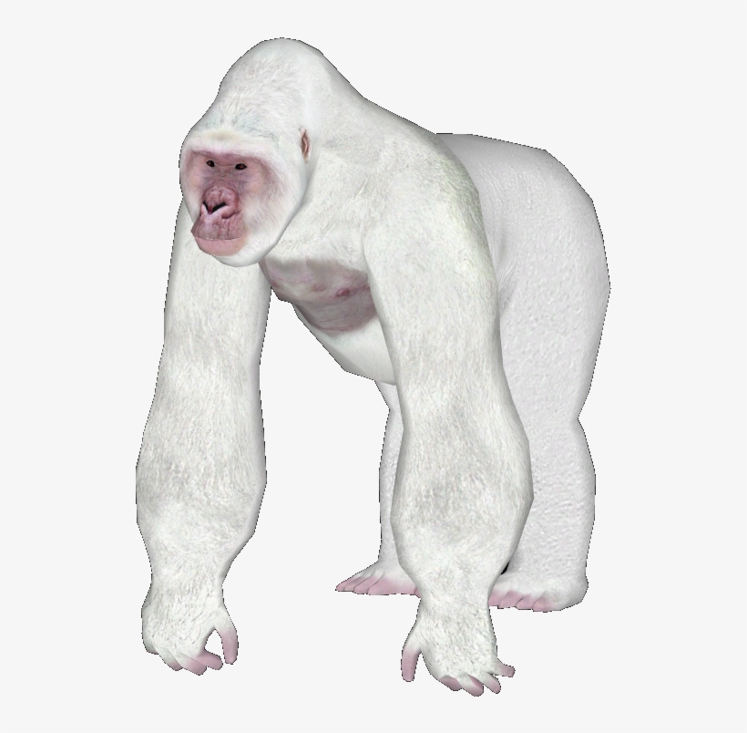 Gorilla5 - Dog Licks, transparent png