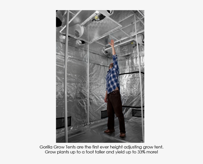 Zoom - Gorilla Tent Kit, transparent png
