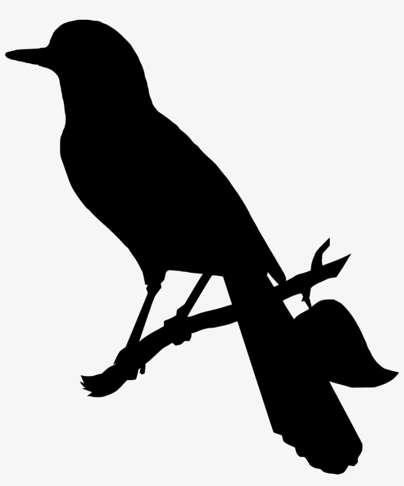 Download Png, transparent png